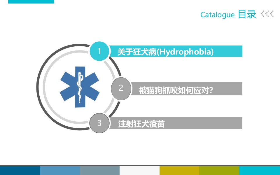 被宠物抓伤咬伤怎么办