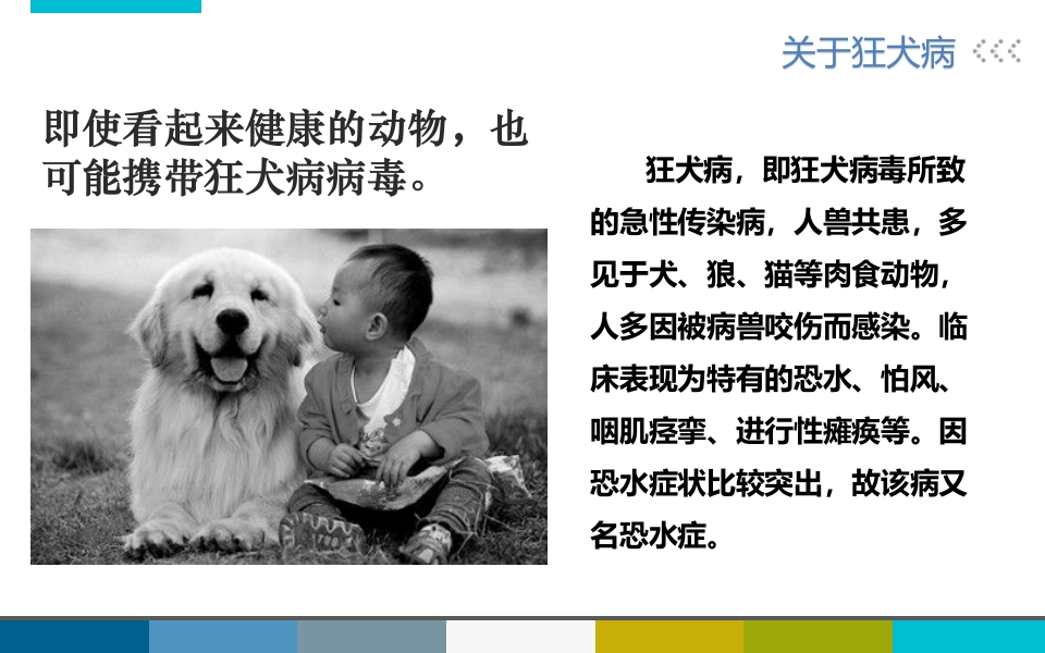 被宠物抓伤咬伤怎么办