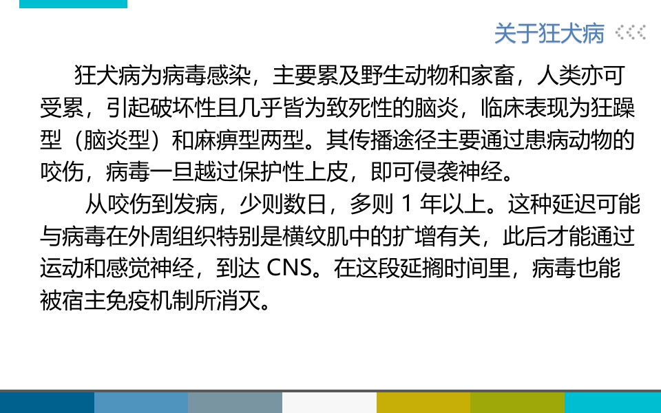 被宠物抓伤咬伤怎么办