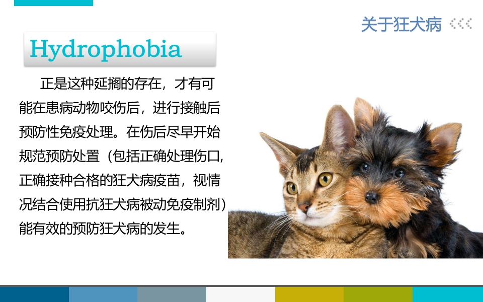 被宠物抓伤咬伤怎么办