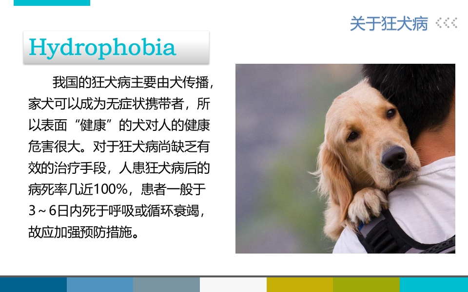 被宠物抓伤咬伤怎么办