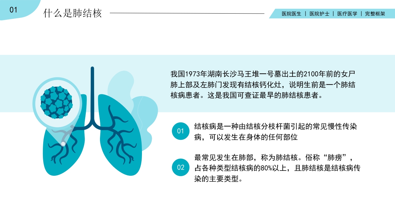 肺结核肺病感染科医疗医学