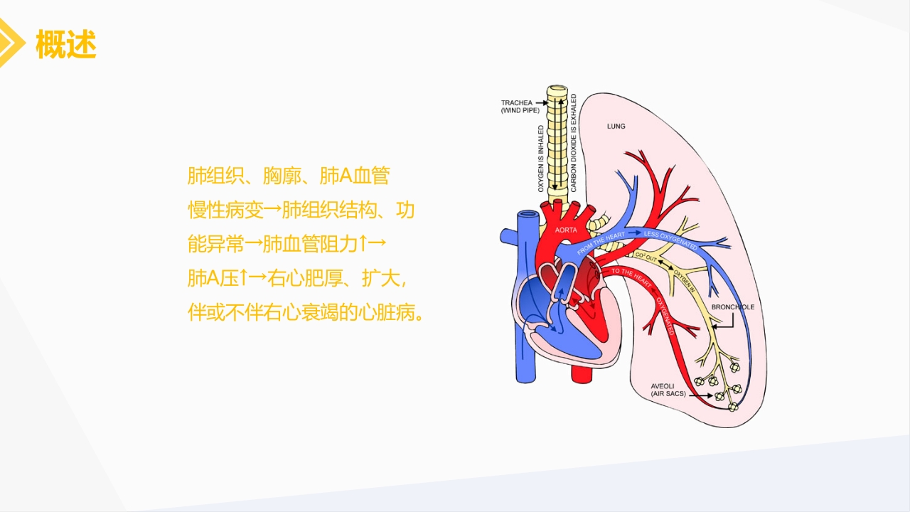 肺源性心脏病病人的护理