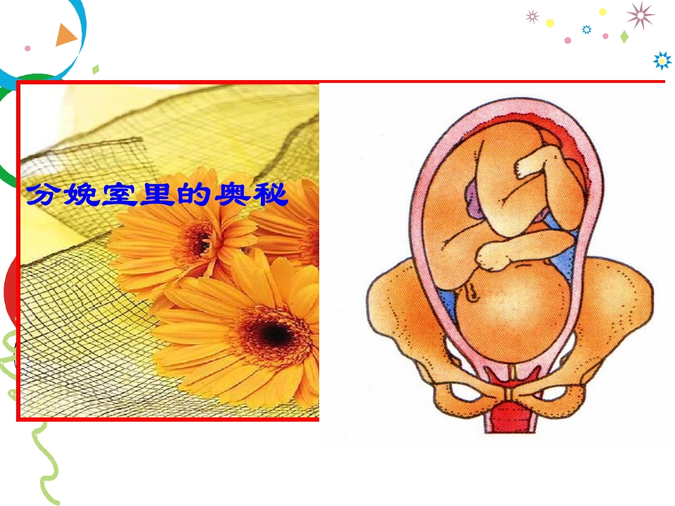 分娩室里的奥秘