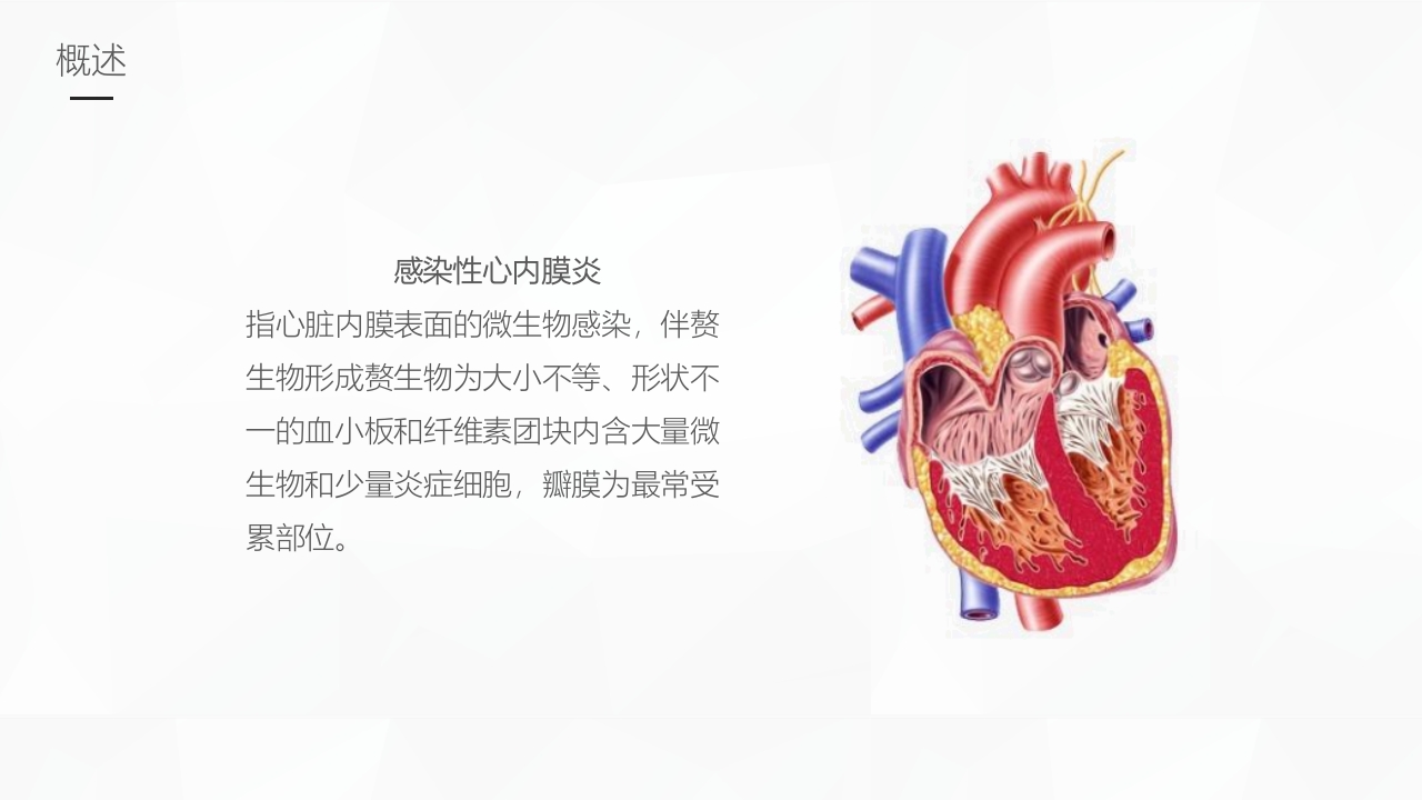 感染性心内膜炎护理业务学习课件