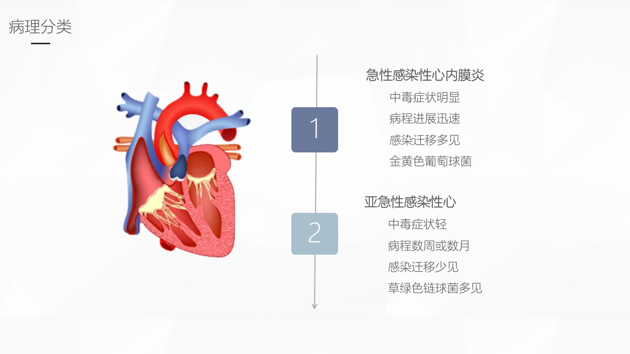 感染性心内膜炎护理业务学习课件