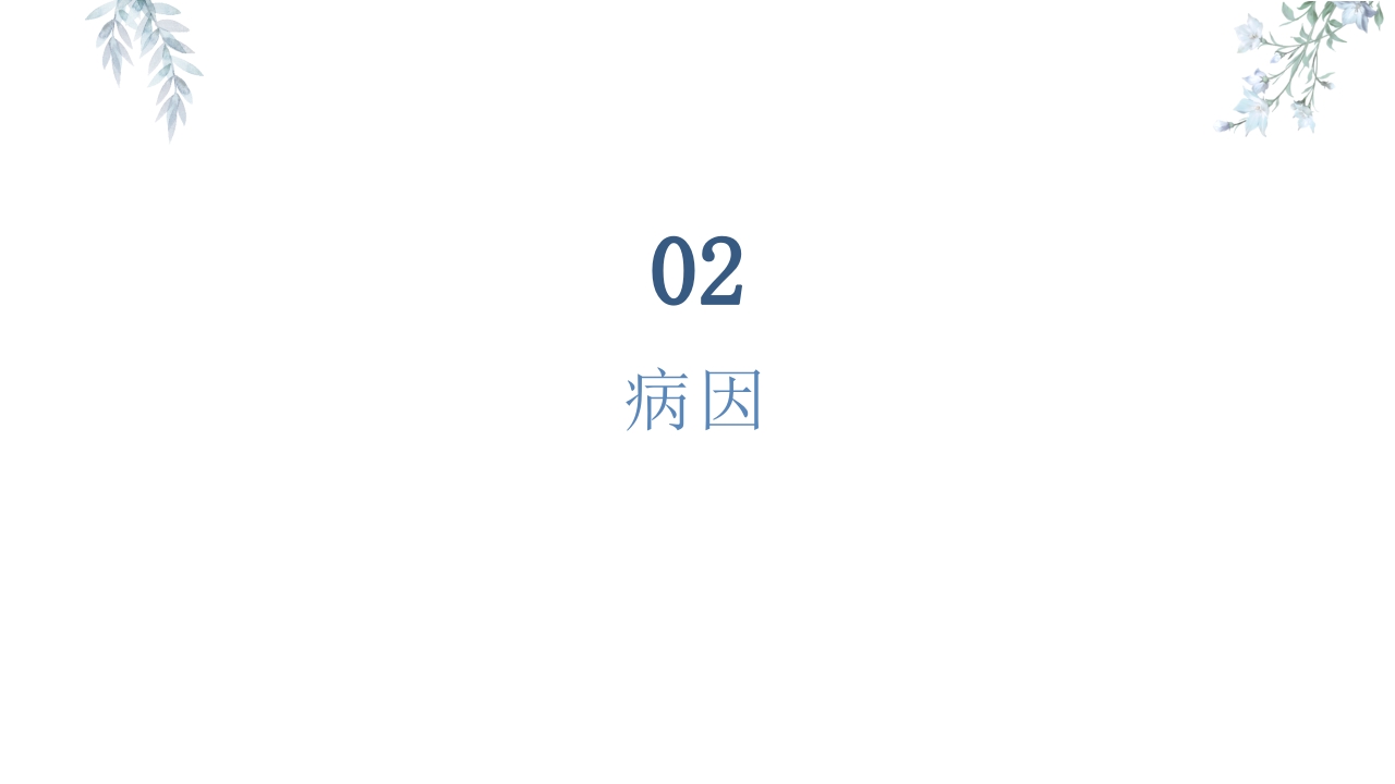 骨科颈椎病患者健康教育