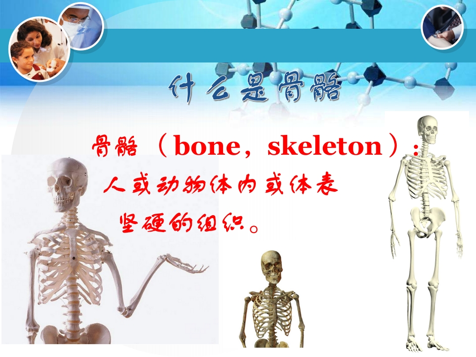 骨科生活小科普