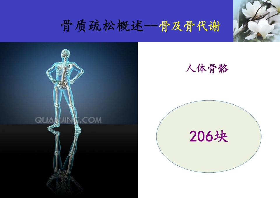 骨质疏松科普知识