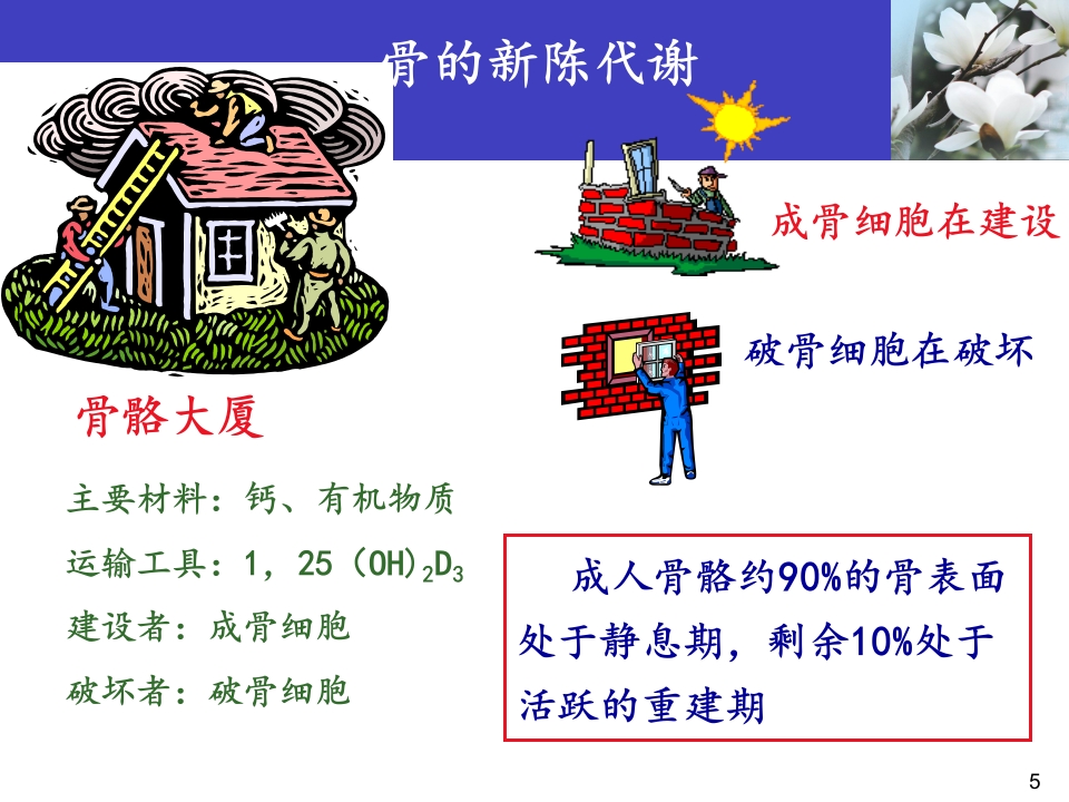 骨质疏松科普知识