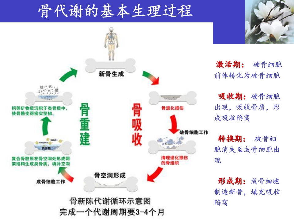 骨质疏松科普知识