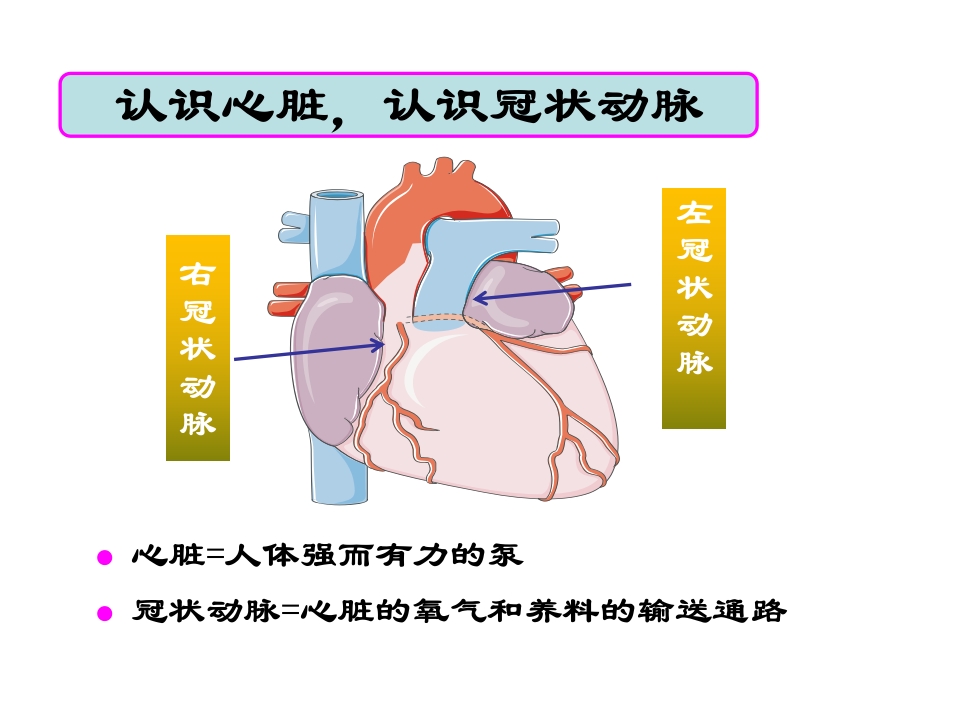 呵护心肌梗死支架患者