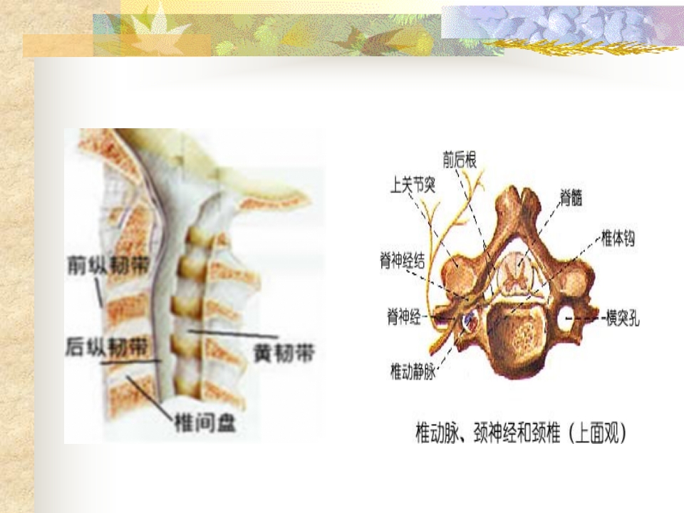 如何预防颈椎病