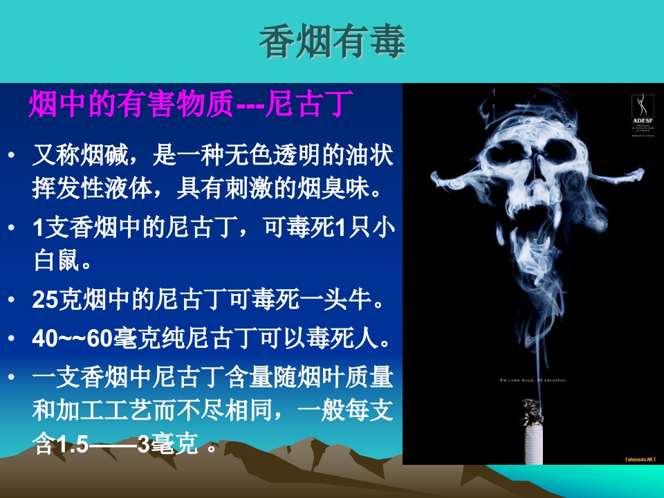 吸烟的危害及如何戒烟