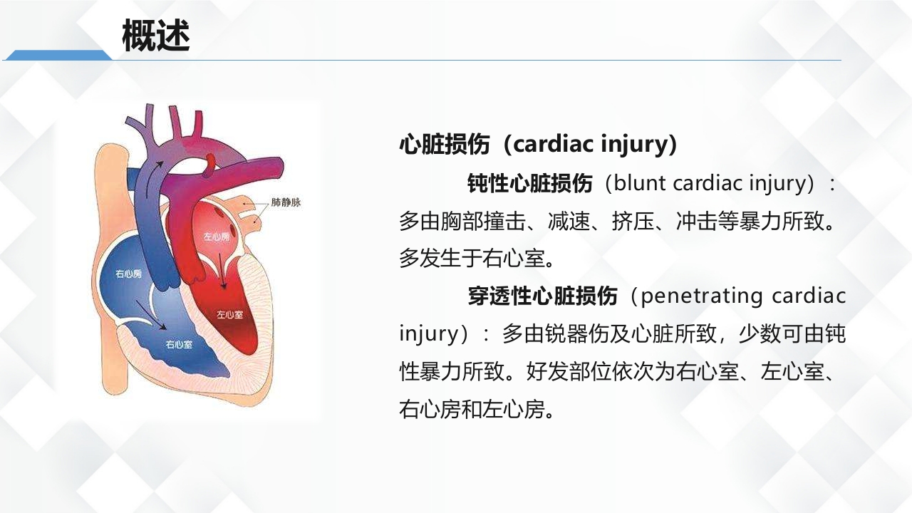 心脏损伤的护理业务教学课件