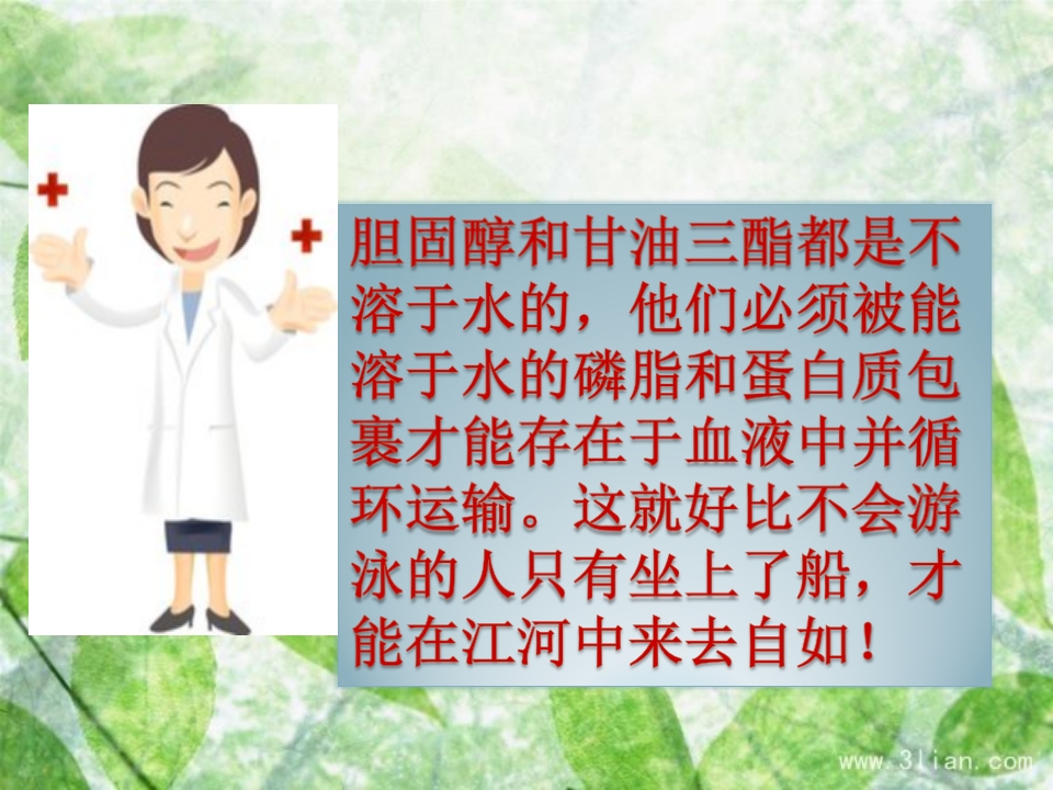 血脂异常可防可控