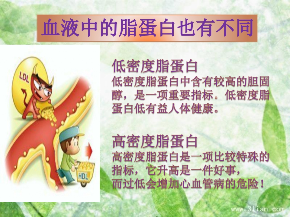 血脂异常可防可控