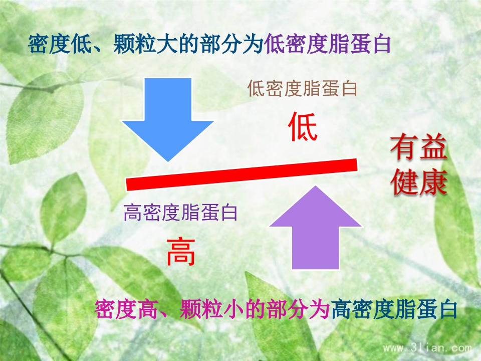 血脂异常可防可控