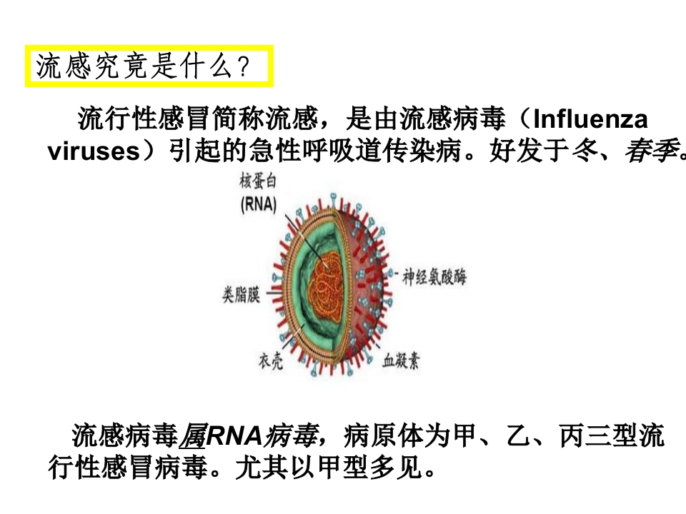 预防流感知多少