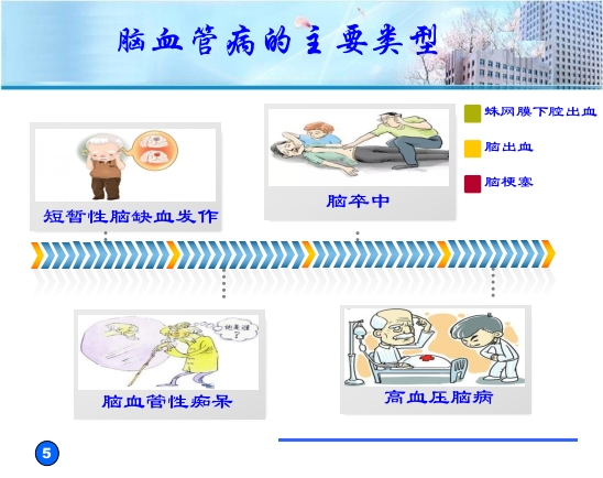 预防脑血管病拥有健康人生