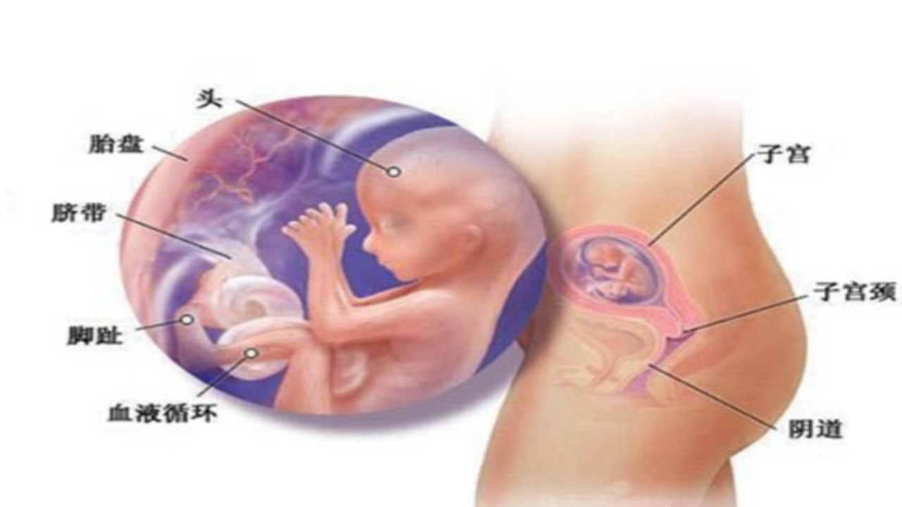 孕期常见身体不适的缓解方法