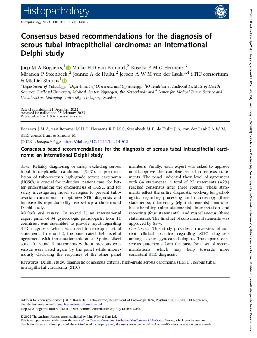 基于共识的浆液性输卵管上皮内癌诊断建议