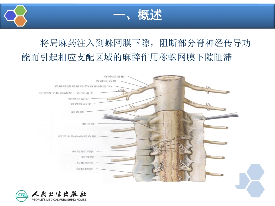 第10章 椎管内麻醉