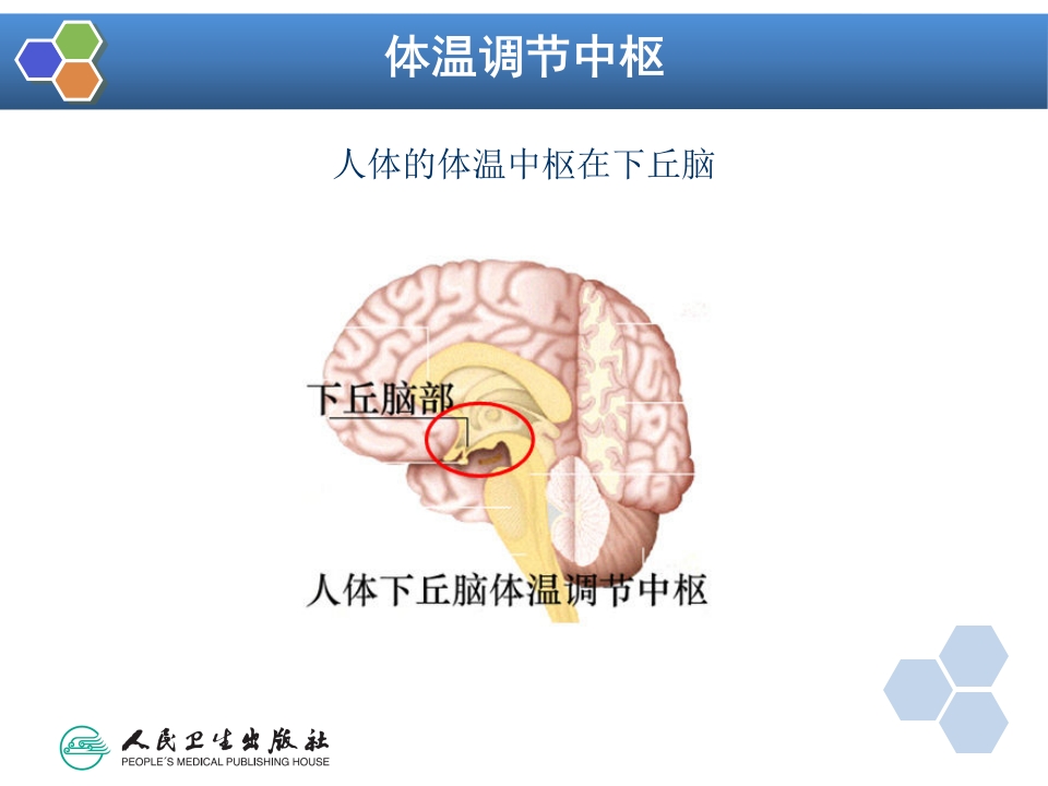 第12章 麻醉期间的体温管理