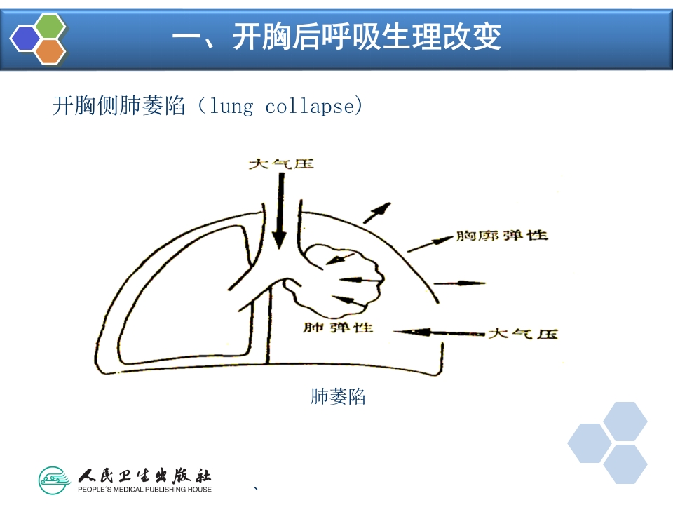 第17章 胸科手术麻醉