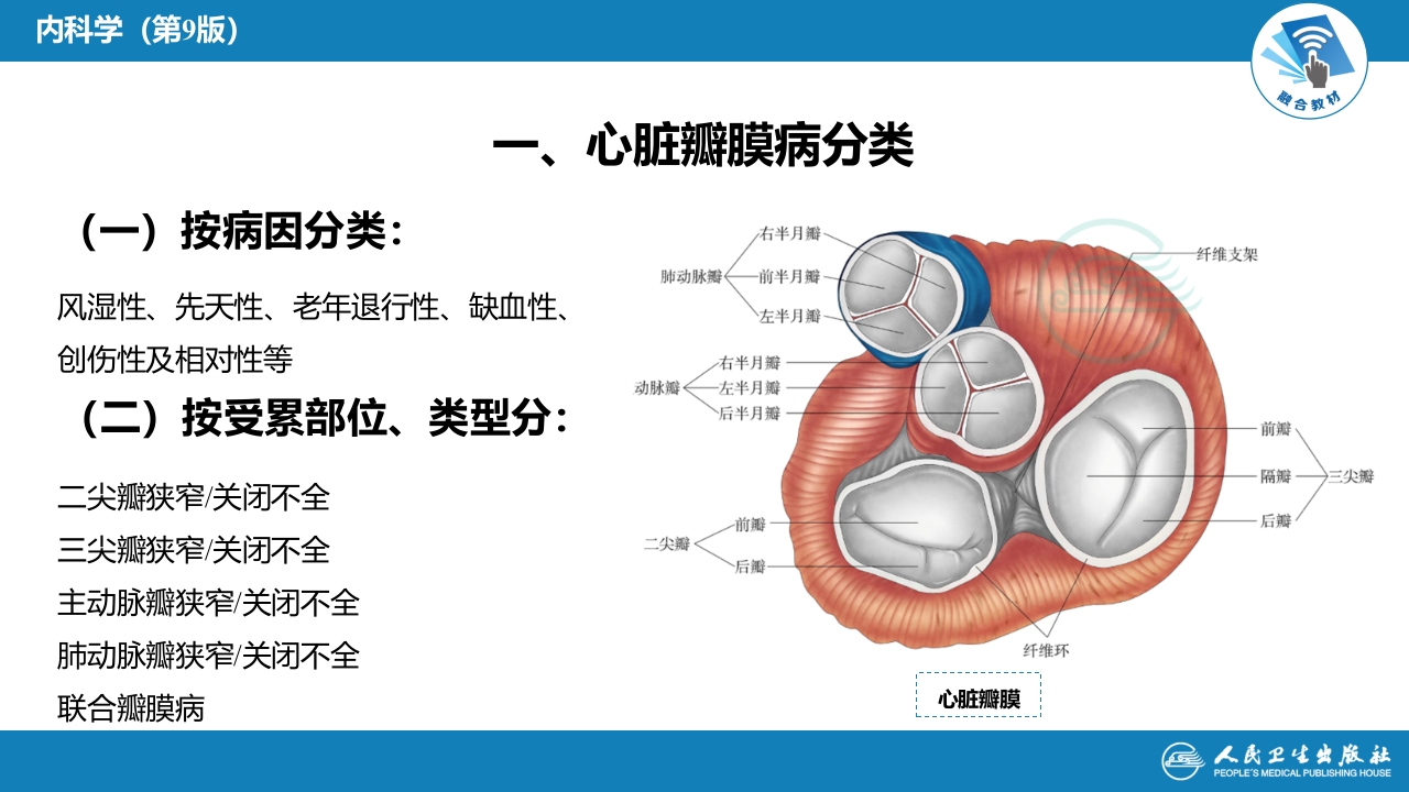 第八章 心脏瓣膜病