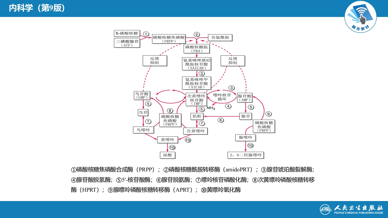 第二十七章 高尿酸血症