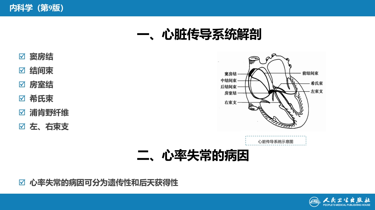 第三章 心律失常