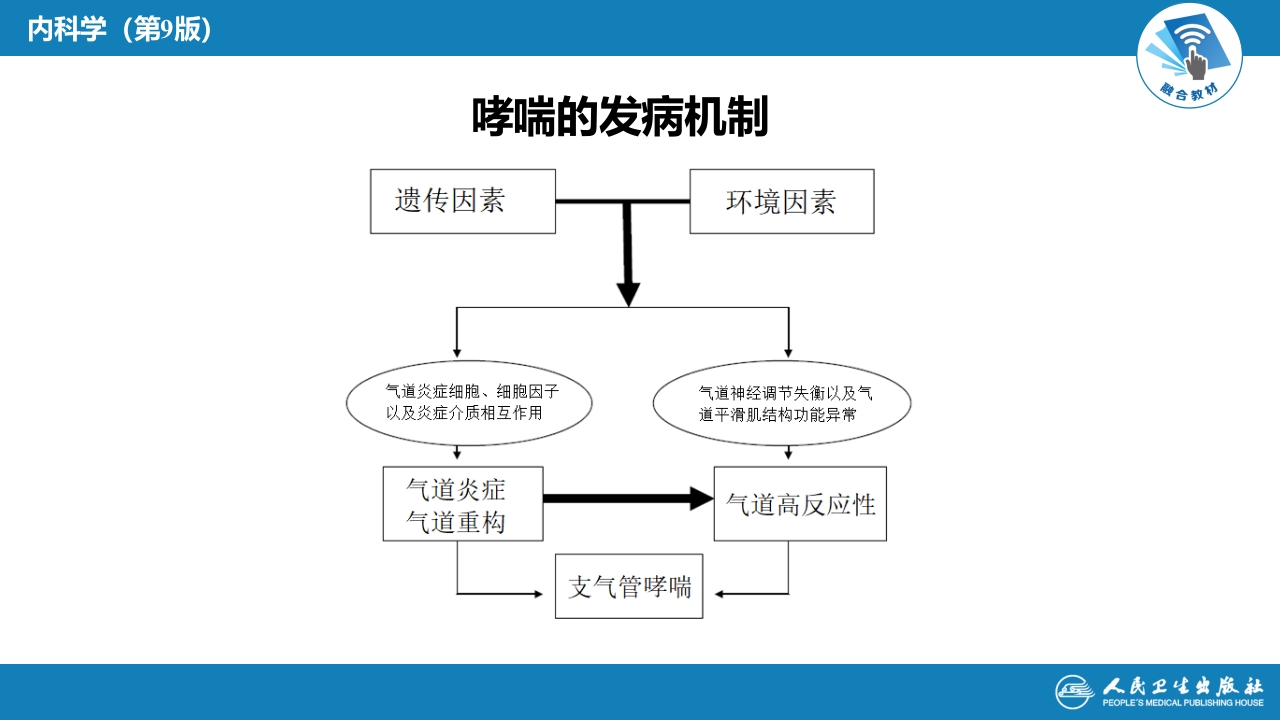 第四章 支气管哮喘