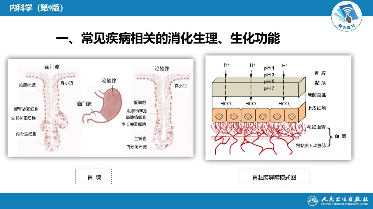 第一章 总论(2)