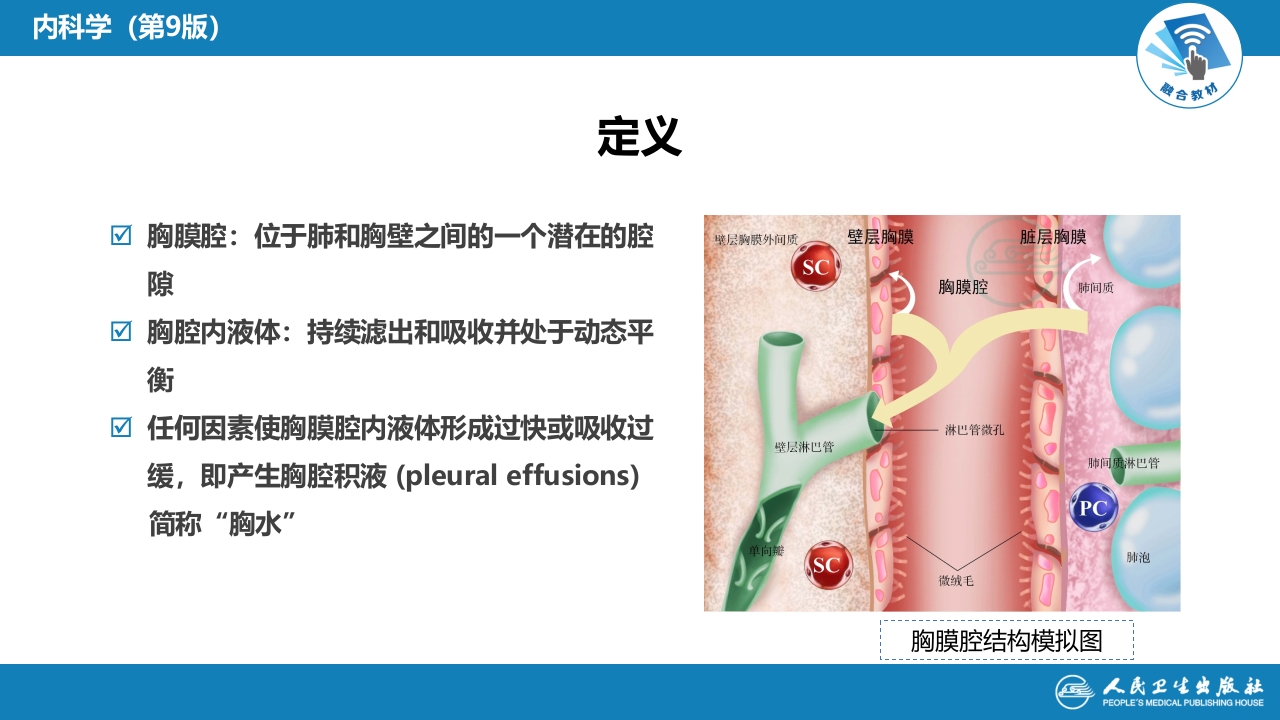 第十二章 胸膜疾病