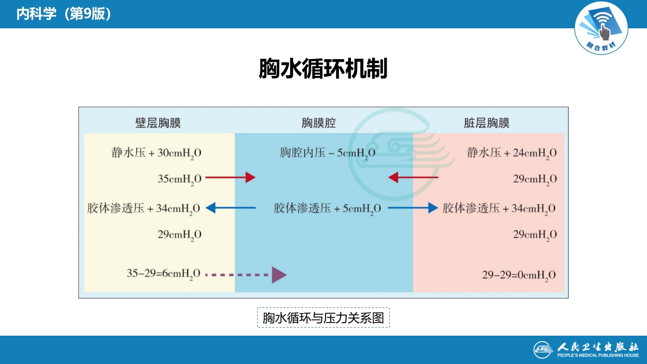 第十二章 胸膜疾病