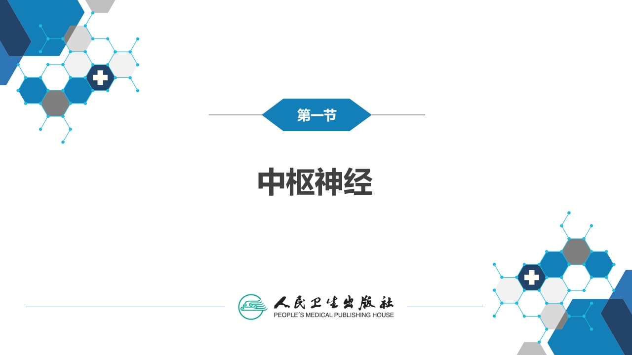 第二章 神经系统的解剖、生理及病损的定位诊断（1）