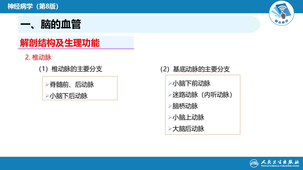 第二章 神经系统的解剖、生理及病损的定位诊断（2）