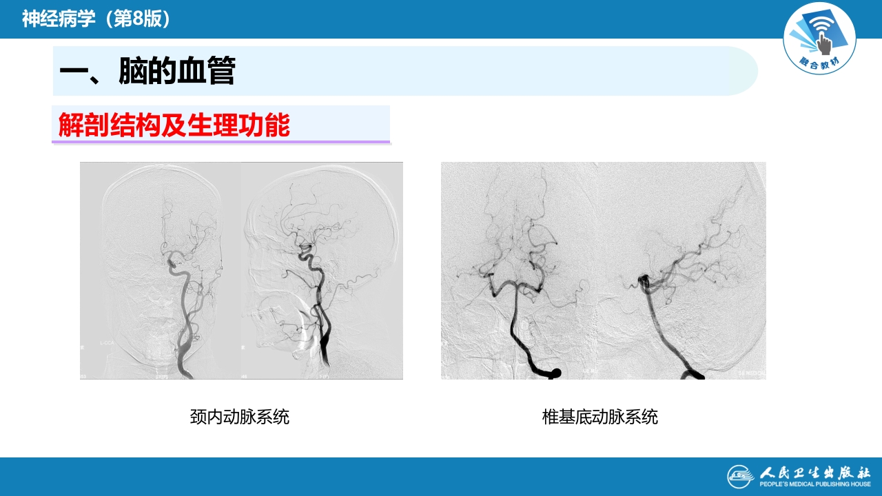 第二章 神经系统的解剖、生理及病损的定位诊断（2）