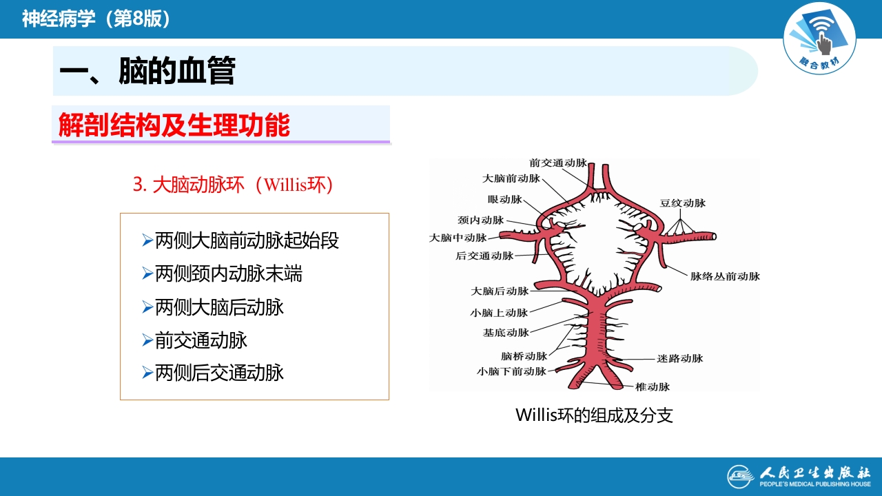 第二章 神经系统的解剖、生理及病损的定位诊断（2）