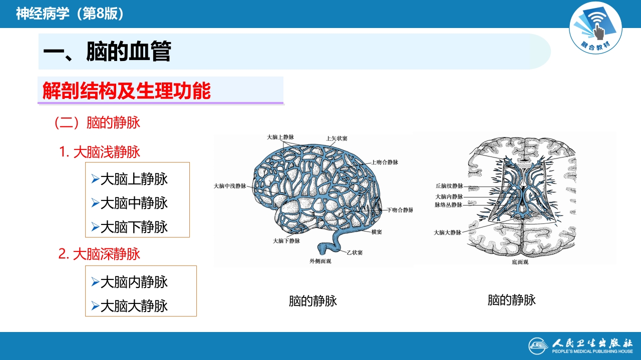 第二章 神经系统的解剖、生理及病损的定位诊断（2）