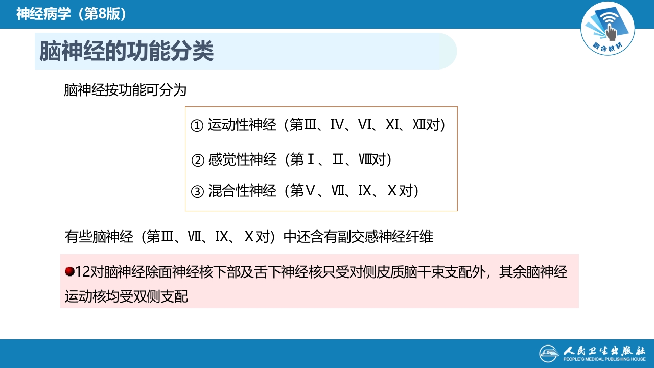 第二章 神经系统的解剖、生理及病损的定位诊断（3）