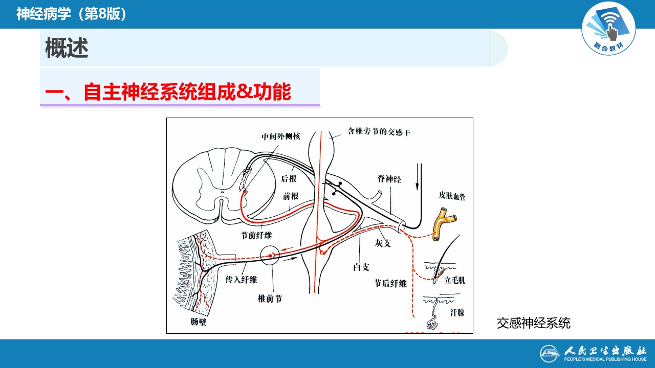 第十八章 自主神经系统疾病