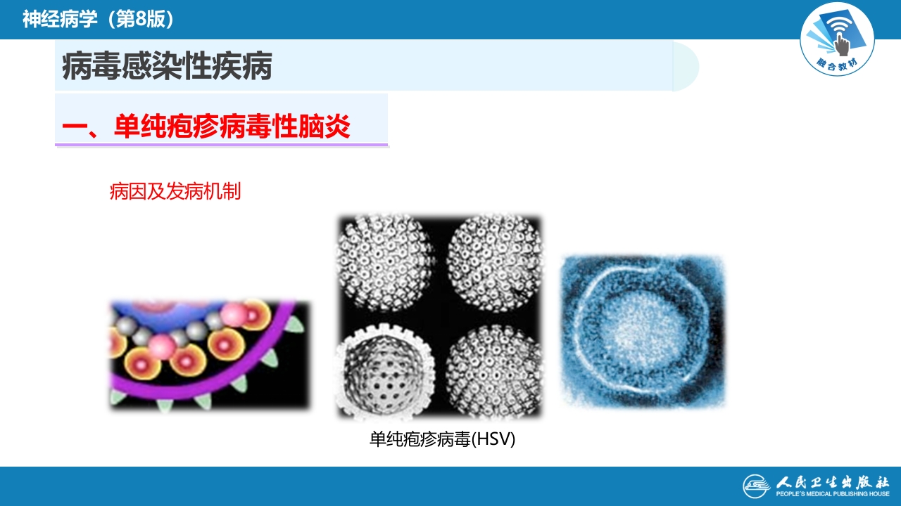 第十二章 中枢神经系统感染性疾病（1）