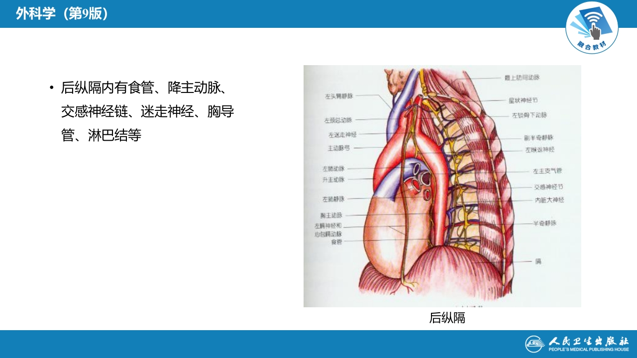 第二十八章 原发性纵隔肿瘤