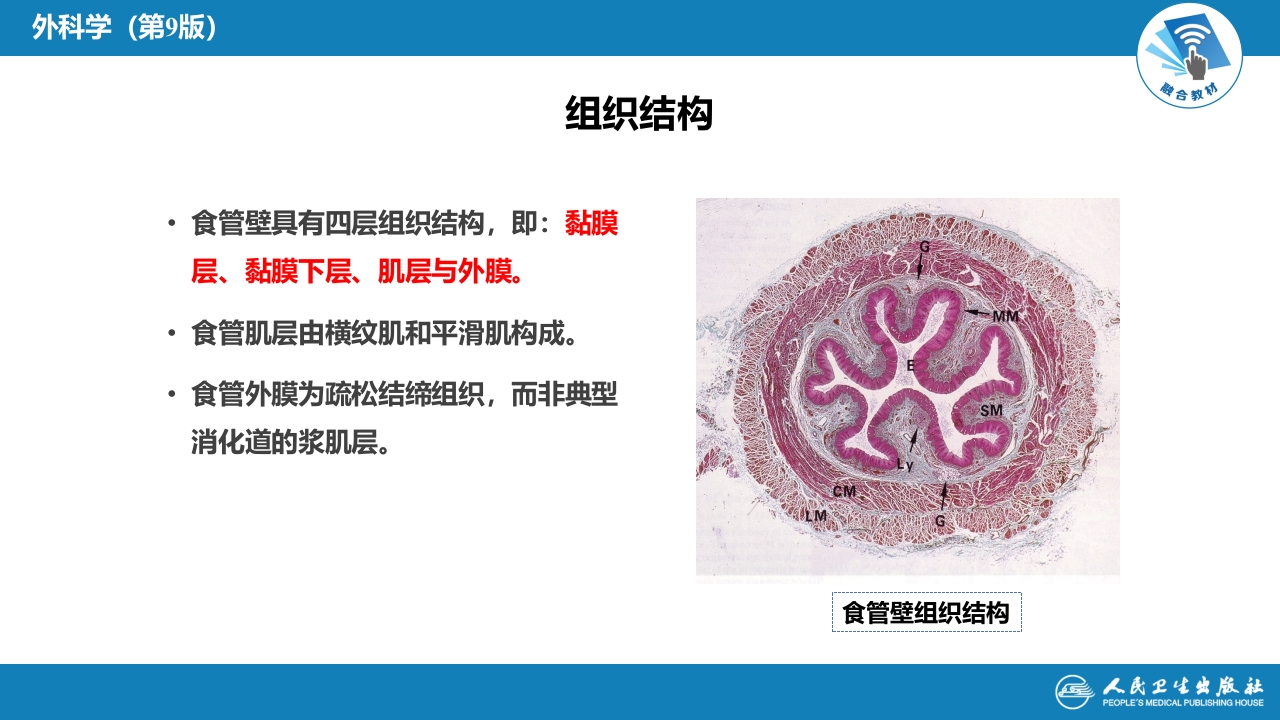 第二十七章 食管疾病