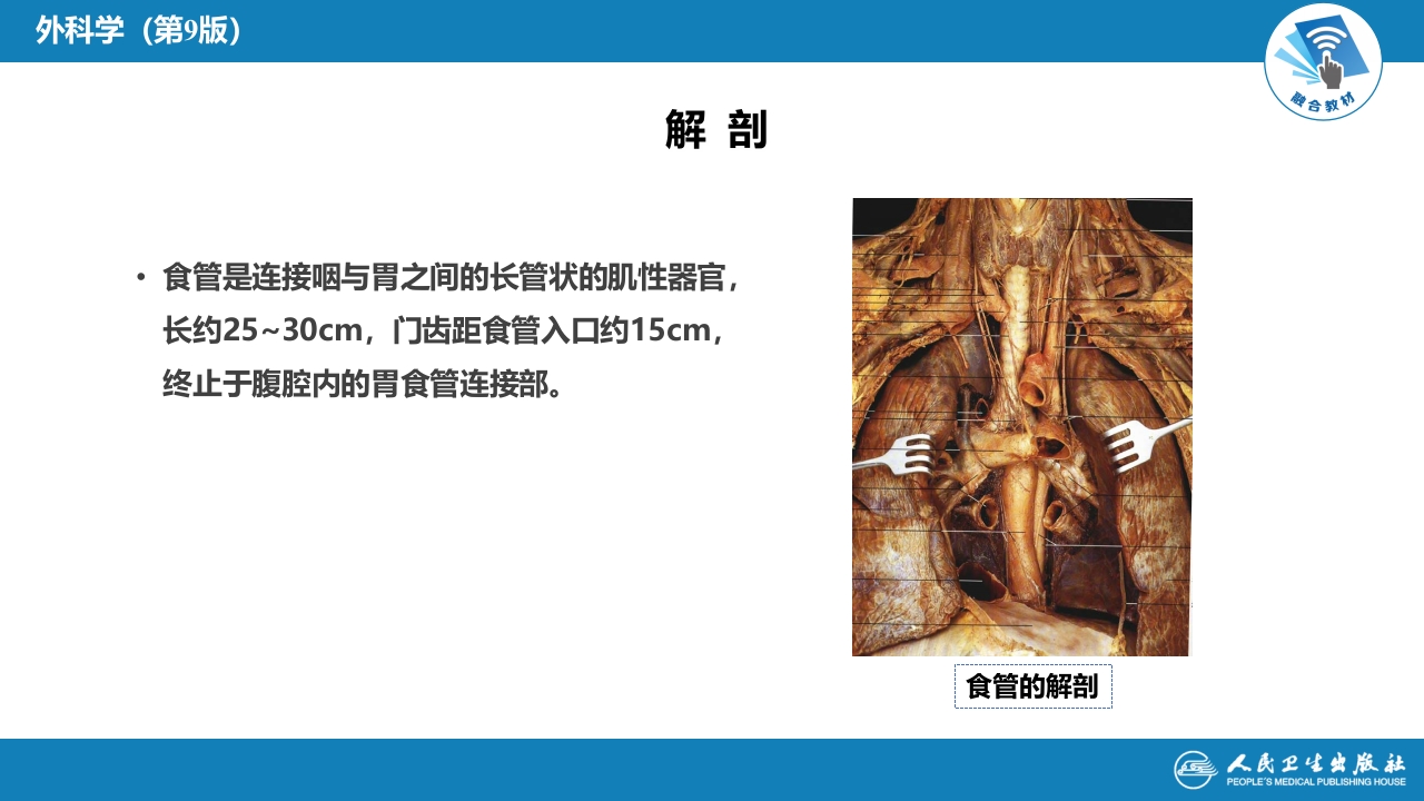 第二十七章 食管疾病