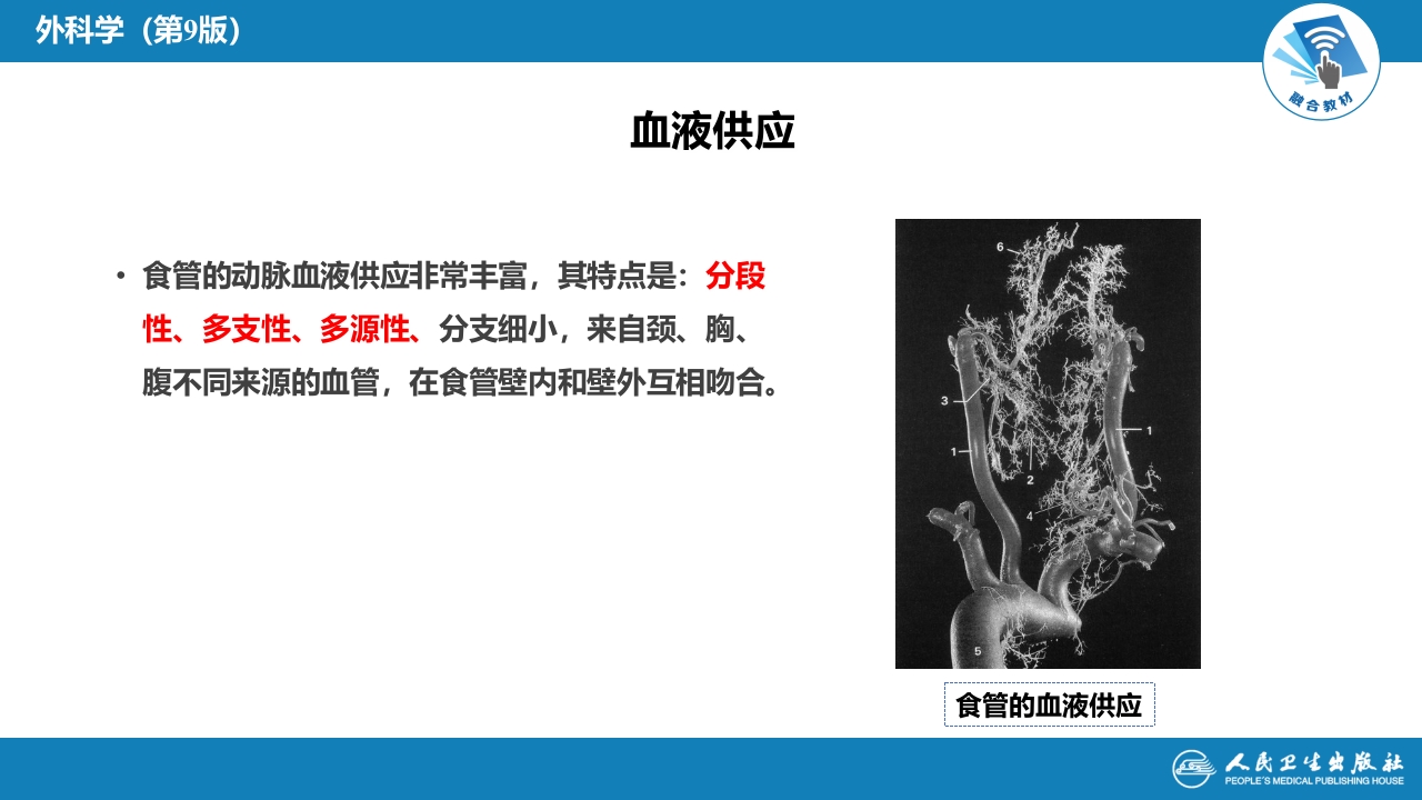 第二十七章 食管疾病