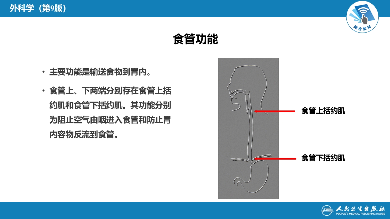第二十七章 食管疾病