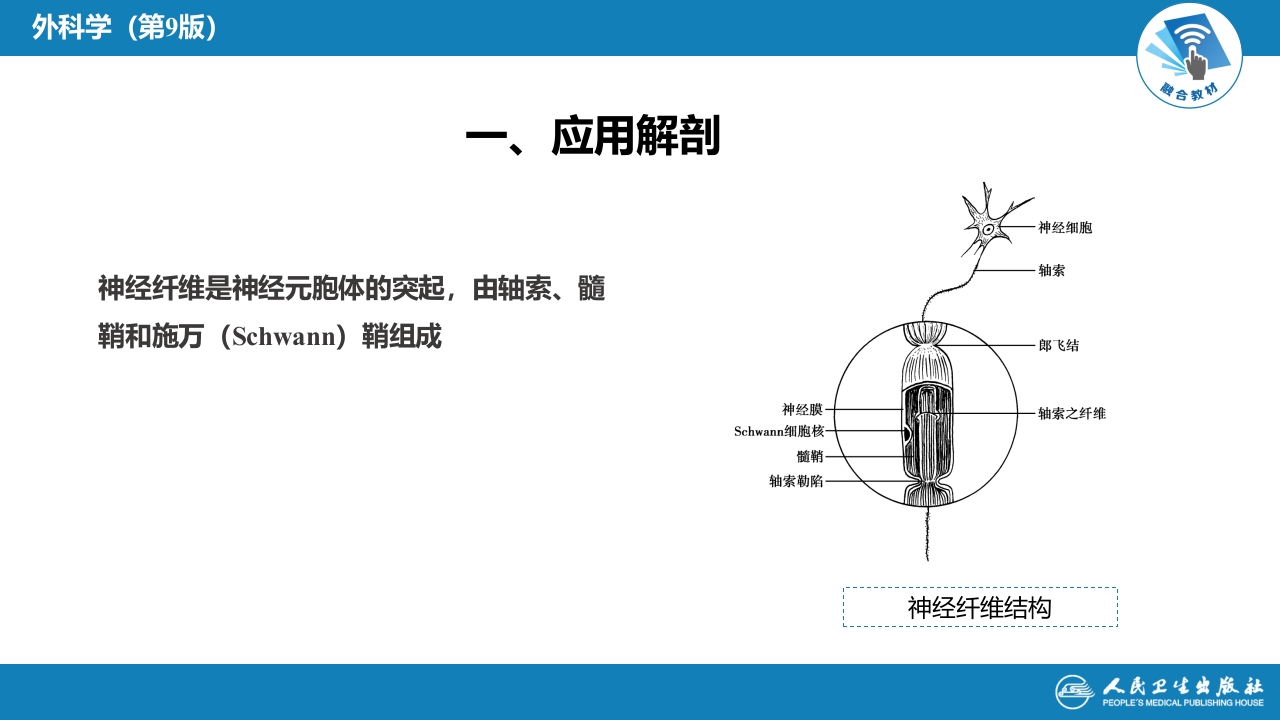 第六十四章 周围神经损伤